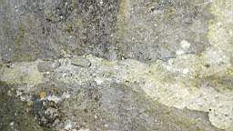 acastle
                          101820.jpg